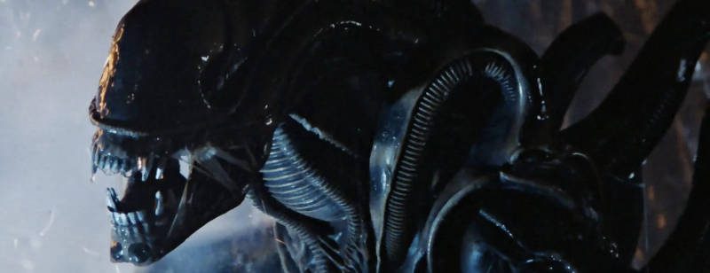 Beste Sci-Fi-Horror-Filme: Alien 1979. Ausgewachsener Xenomorph aus dem Sci-Fi-Horror-Film Alien